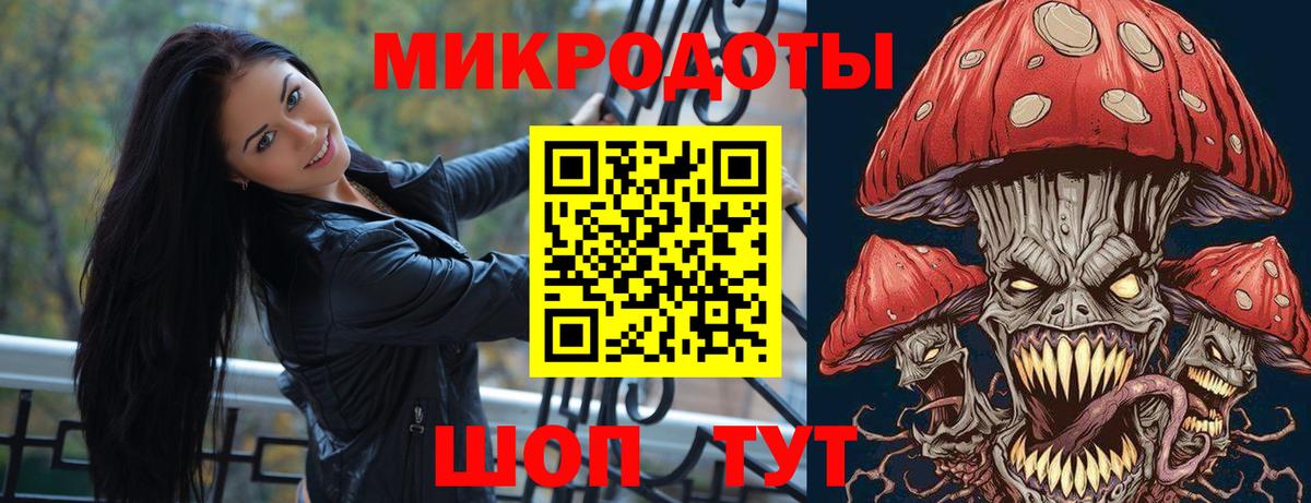 Камень-на-Оби  Галлюциногенные грибы прущие грибы  Вход с VPN  Псилоцибиновые грибы Magic Shrooms 