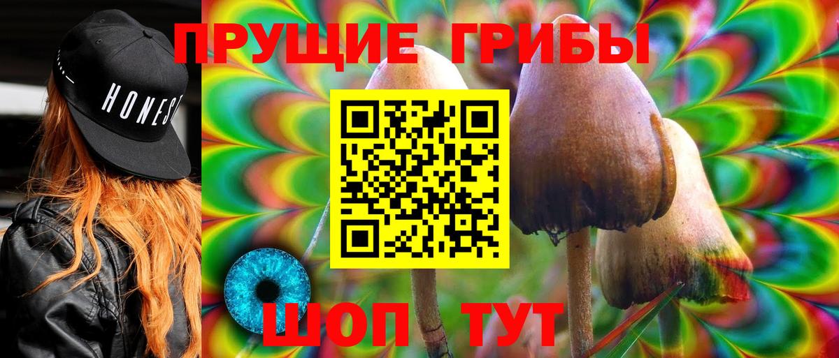 Галлюциногенные грибы Cubensis Камень-на-Оби
